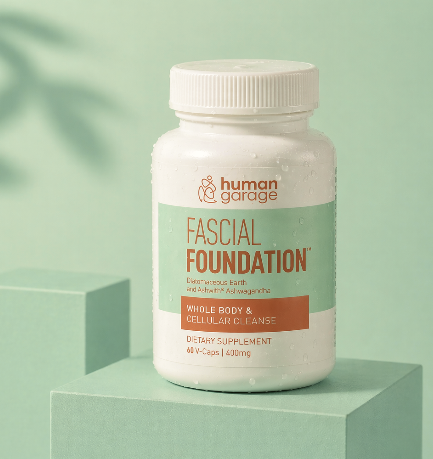 Fascial Foundation